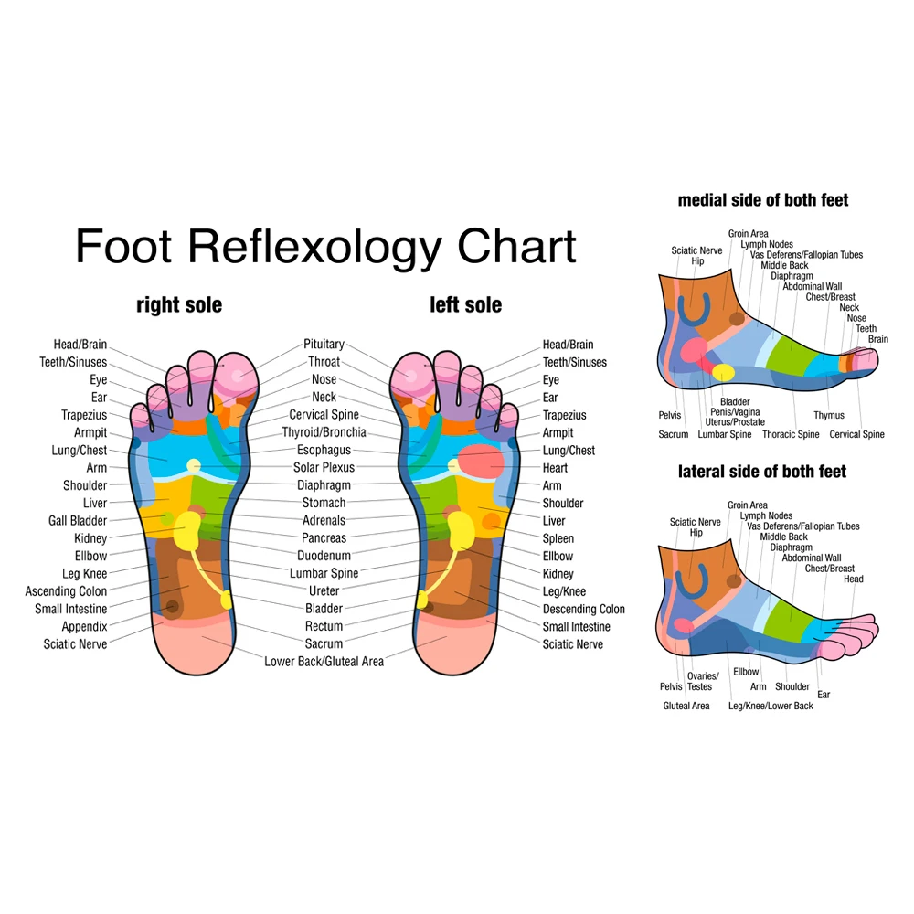 Rolo de massagem nos pés de ma - Reflexology Foot Roller avaliação e preço