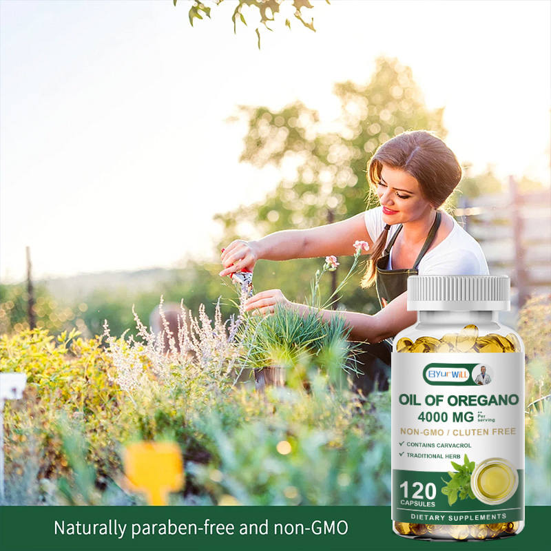 Óleo de Orégano (4000 MG) – Fó - Health Wellness Day avaliação e preço