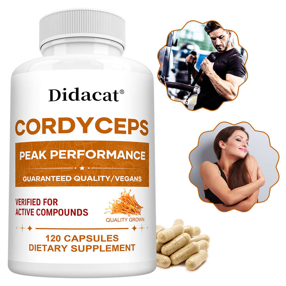 Cápsulas de Cogumelo Cordyceps - Health Wellness Day avaliação e preço